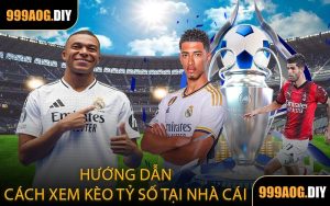 Hướng Dẫn Cách Xem Kèo Tỷ Số Tại Nhà Cái