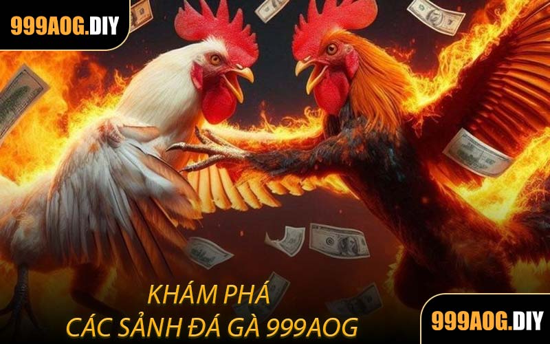 Khám Phá Các Sảnh Đá Gà 999AOG