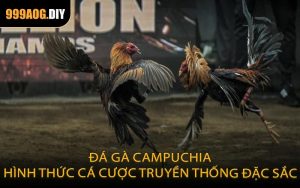 Đá gà Campuchia – Hình thức cá cược truyền thống đặc sắc