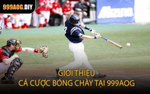 Giới thiệu cá cược bóng chày tại 999AOG