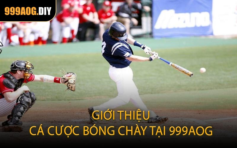 Giới thiệu cá cược bóng chày tại 999AOG