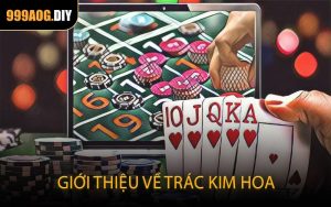 Giới thiệu về Trác Kim Hoa