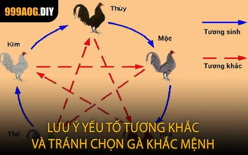 Lưu ý yếu tố tương khắc và tránh chọn gà khắc mệnh